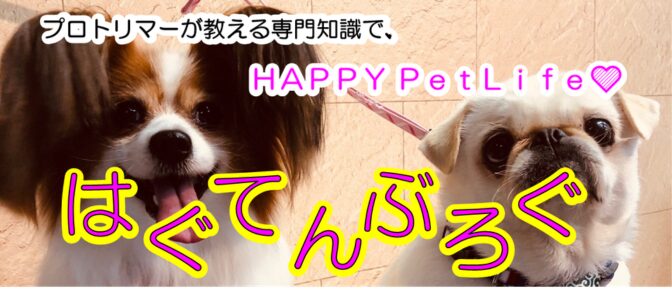 はぐてんぶろぐ