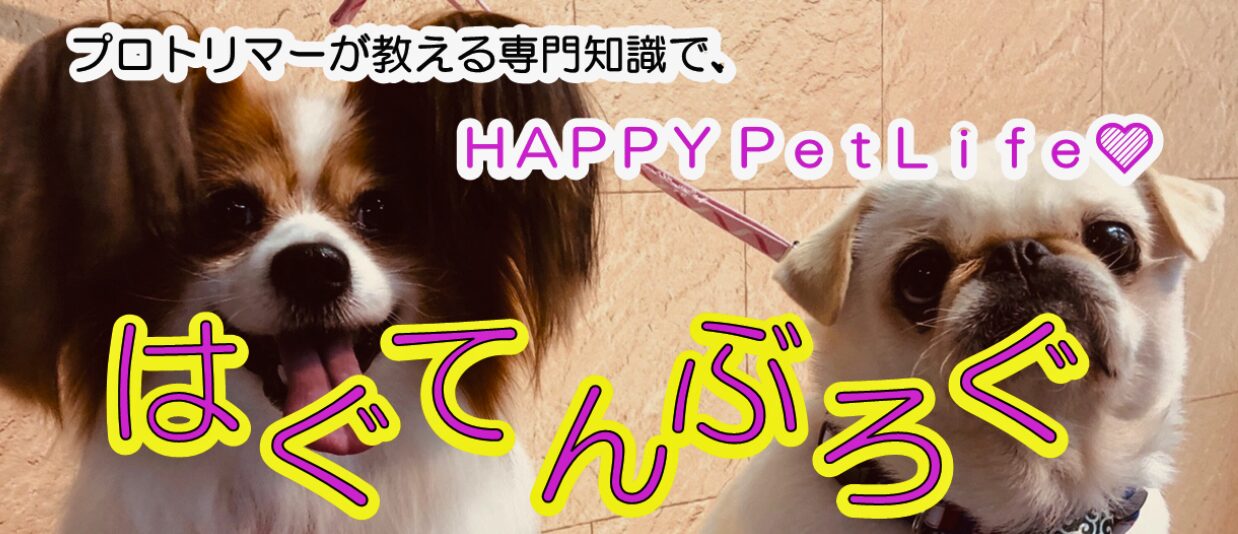 はぐてんぶろぐ